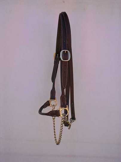 aug05$01-1.jpg - Custom made Show bull halter with rolled leather nose and cheek straps.Shown with complimenting leather lead and chain.
